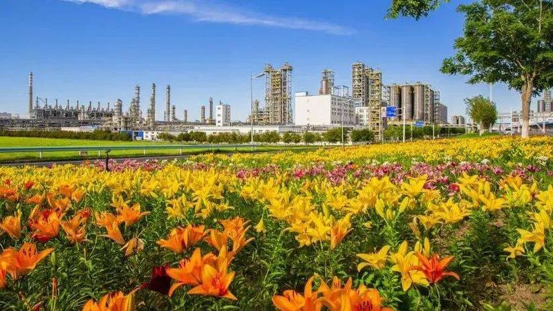 上海日化增稠剂批发市场：揭秘其背后的行业秘密**